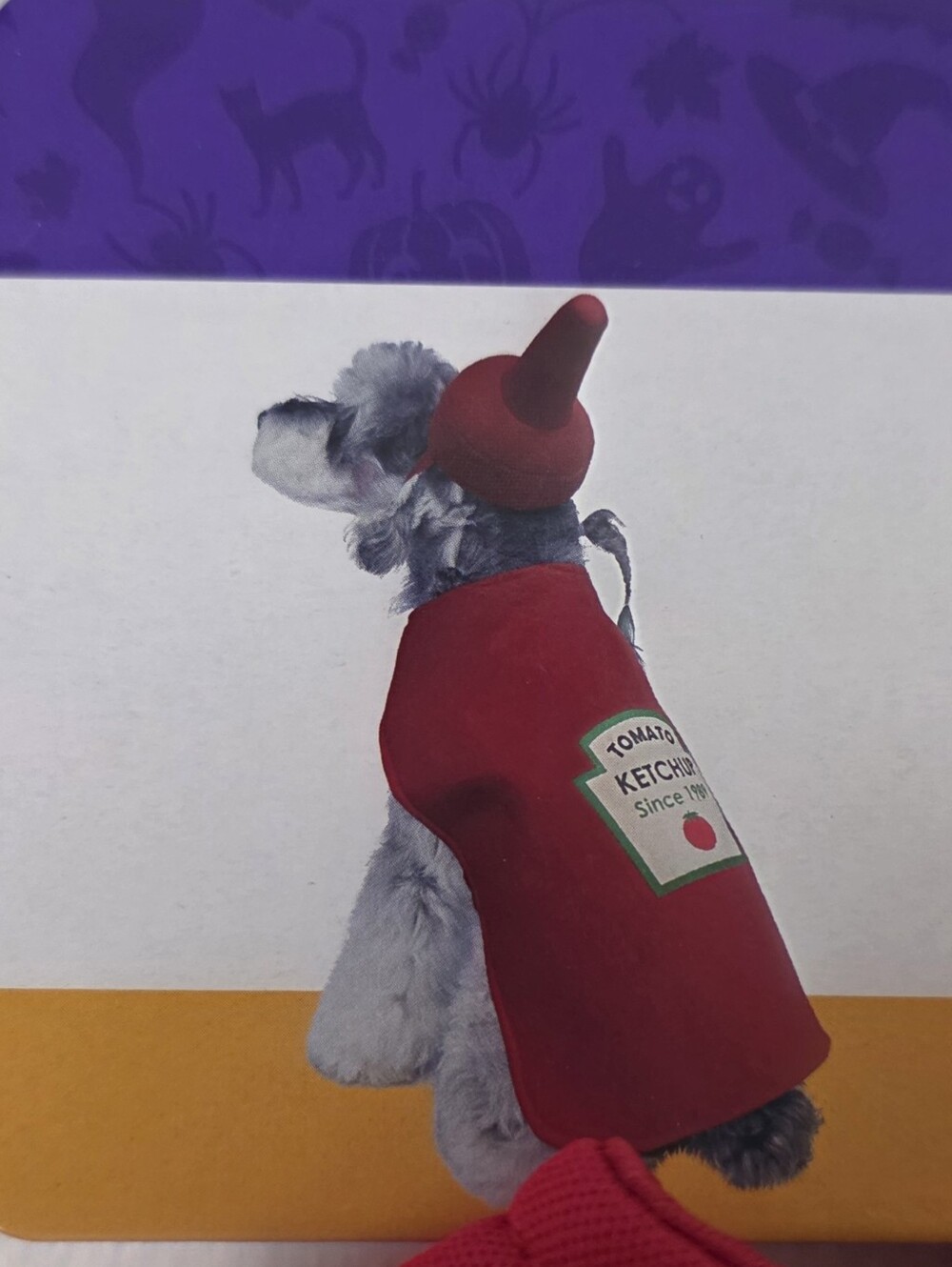 NWT Halloween Costume Pet Dog Hot Dog Ketchup Bottle Dress Up Suit Heinz Silly